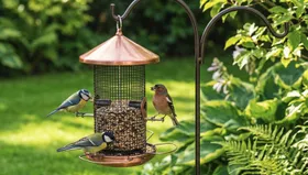 Bird feeder with blue tits in the garden at Bopets