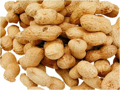 Unshelled Peanuts – Bird Food