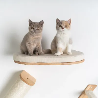 Cat Climbing Wall – RHR Quality Wallbed XXL Beige