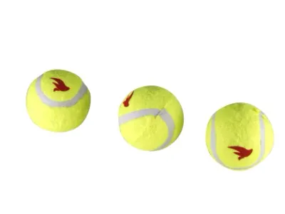Tennisballen voor honden 3 stuks – Geel