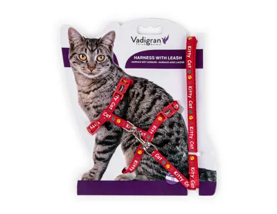 Cat Harness with Leash – Kitty Cat Red