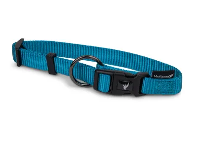 Nylon Dog Collar Classic – Turquoise – Turquoise