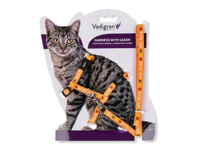 Kitty Cat Harness with Leash - Orange