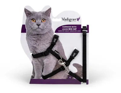 Harness with Leash for Cat or Rabbit - Kat - Zwart - Zwart