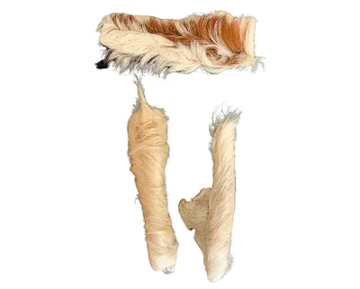 Lamskophuid met haar 15cm – Hondensnack