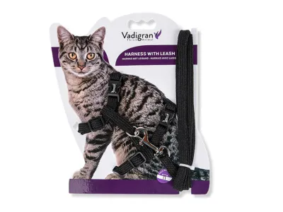 Nylon Classic Harness and Leash Set – Black