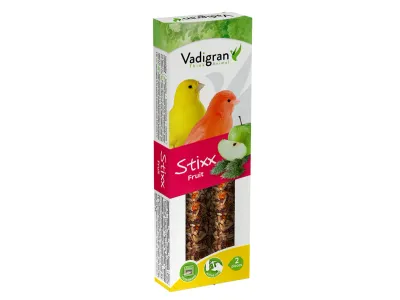 Stixx kanarie fruit – 2 sticks