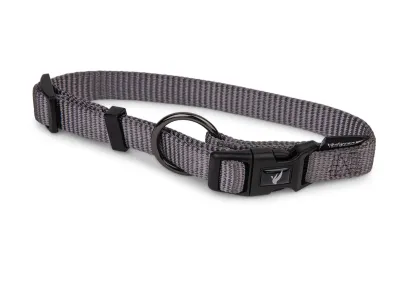 Nylon Dog Collar Classic – Turquoise – Taupe