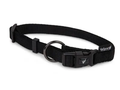 Nylon Dog Collar Classic – Turquoise – Zwart