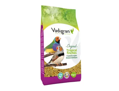 Tropical Bird Food
