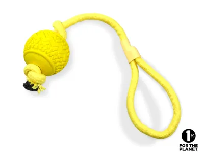 TPR Ball with Rope Dog Toy – Yellow