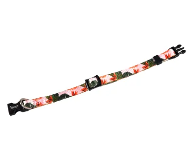 Kitten Collar Green/Pink 16-25cm
