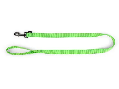 Nylon Dog Leash 120cm – Classic Turquoise – Groen