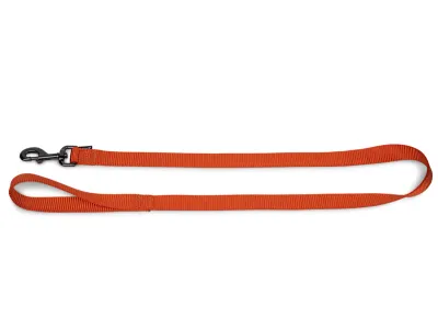Nylon Dog Leash 120cm – Classic Turquoise – Oranje