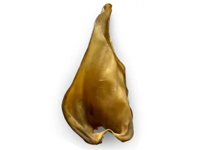 Beef Ears (without meat) Loose