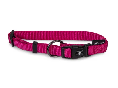 Nylon Dog Collar Classic – Turquoise – Fuchsia