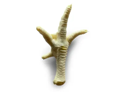 Chicken Foot Puffed – Natural Dog Snack