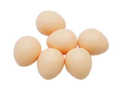 Egg lime hen