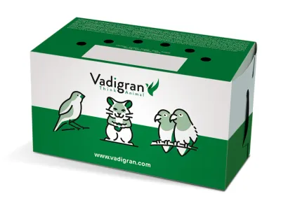 Transport Box Small – White/Green