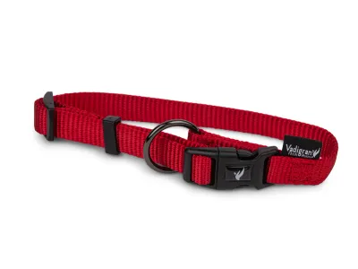 Nylon Dog Collar Classic – Turquoise – Rood