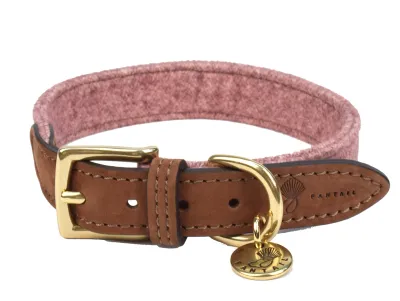 Dog Collar Blend Pink – Fantail