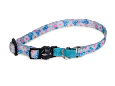 Cat Collar White-Purple Flowers 20-30cm