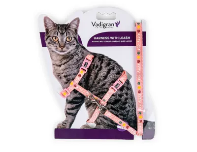 Kitty Cat Harness with Leash Pink