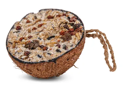 Half Coconut Granola – Emma's Garden