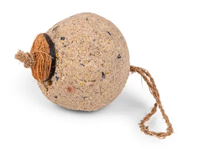Fat Ball – Emma's Garden