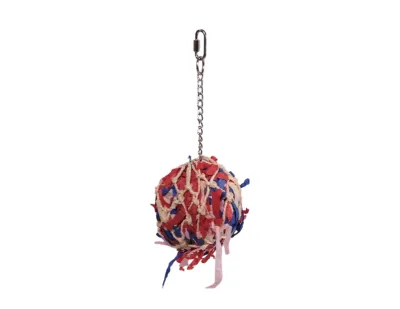 Foraging Ball Bird Toy 27cm – Multicolor