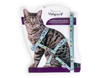 Kitty Cat Harness + Leash Blue