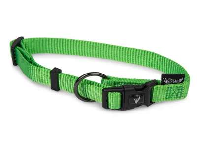 Nylon Dog Collar Classic – Turquoise – Groen