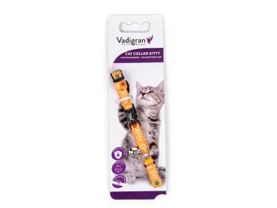 Cat Collar Kitty Cat Orange 20-27cm