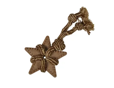 Plush Star Dog Toy with Rope – Brown