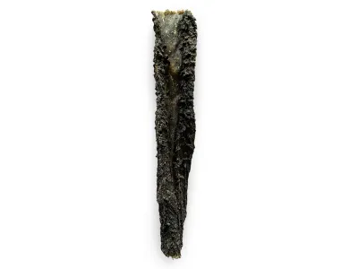 Camel Tripe Piece – Natural Dog Snack