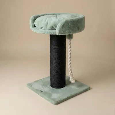 Cat Tree Chartreux Blackline – RHR Quality Pistachio Teddy