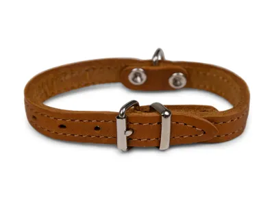 Dog Collar Oiled Leather Cognac