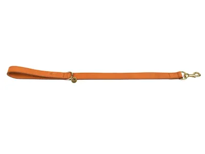 Dog Leash Short 60cmx25mm – Fantail Nubu Light Brown